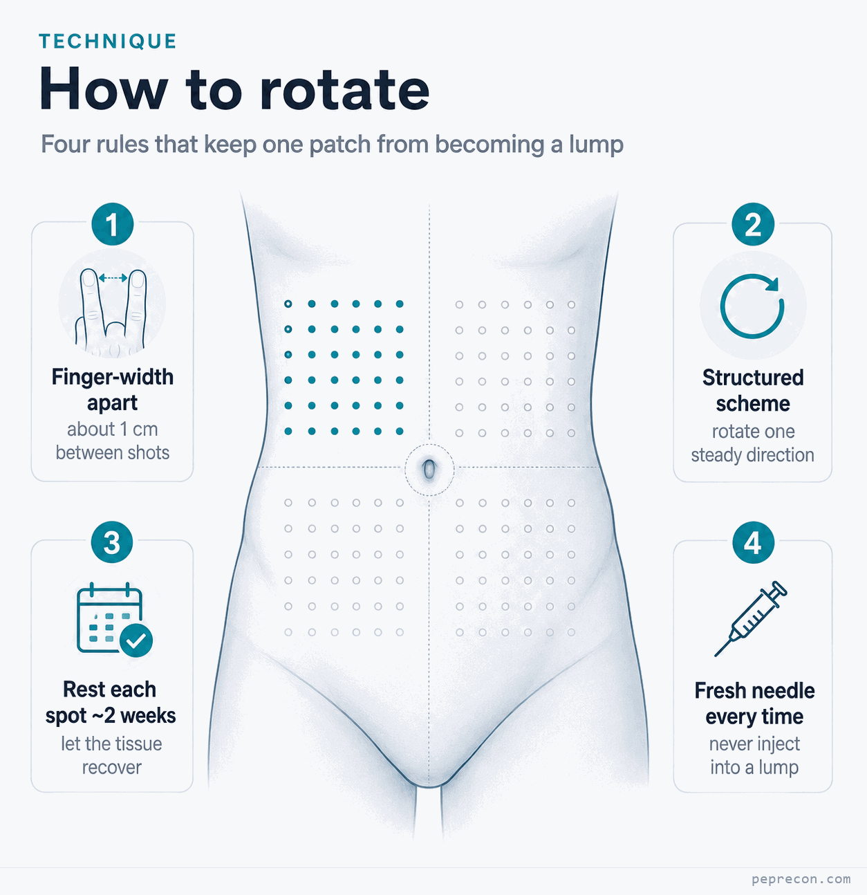 Infographic, How to rotate: an abdomen marked with a grid of injection sites, plus four rules. 1, keep injections about one finger-width (1 cm) apart. 2, rotate in a structured scheme in one steady direction. 3, rest each spot about two weeks to let tissue recover. 4, use a fresh needle every time and never inject into a lump.